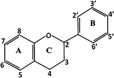 A decade of advances in the study of buckwheat for organic farming and agroecology (2013-2023)